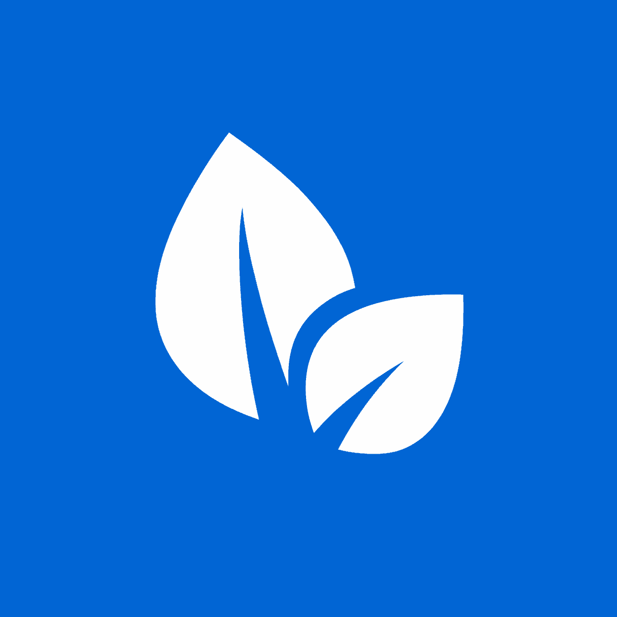 the logo